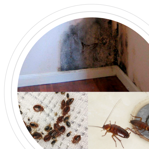 Последствия затягивания обработки