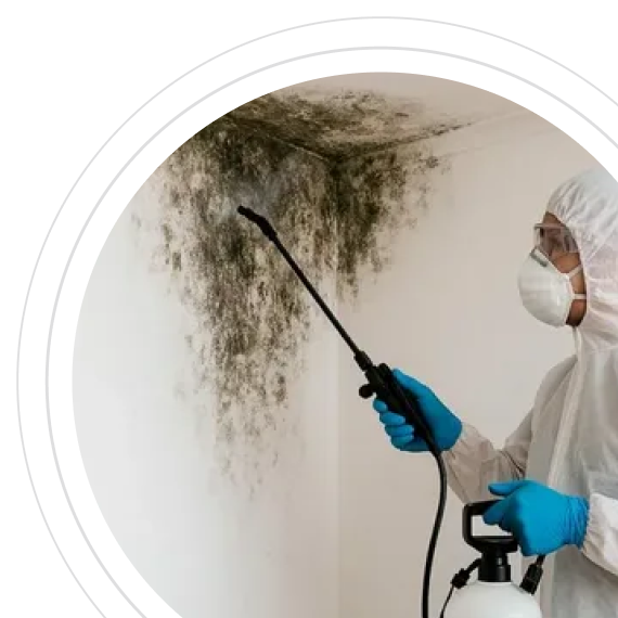 Последствия затягивания обработки