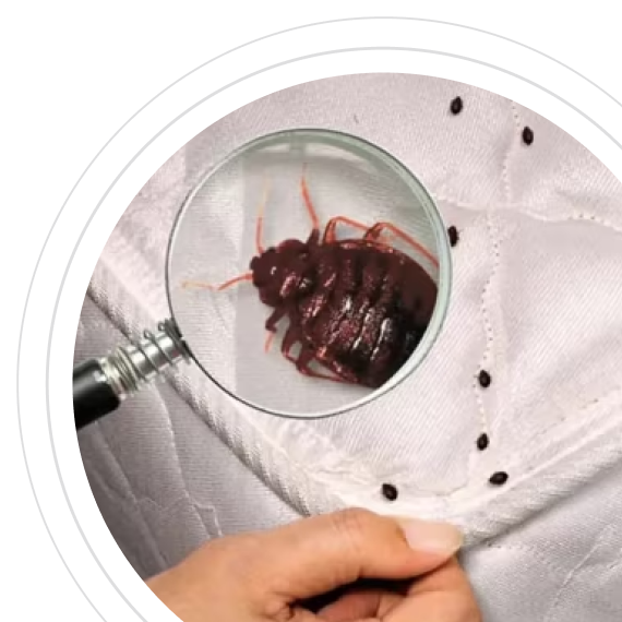 Последствия затягивания обработки