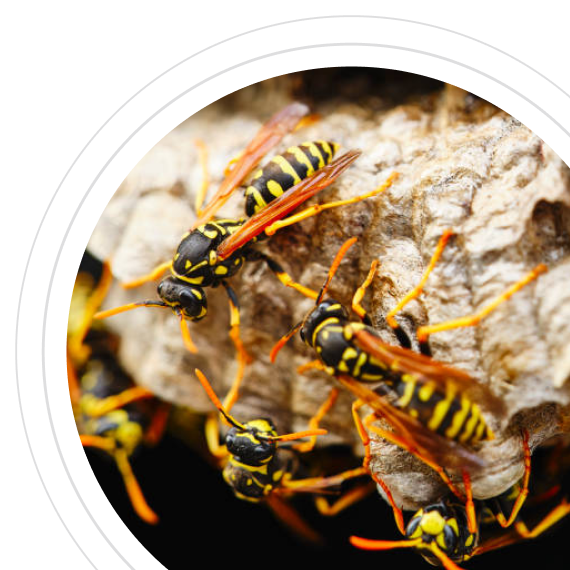 Последствия затягивания обработки