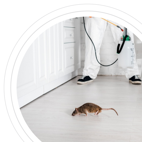 Последствия затягивания обработки